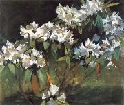 William Stott of Oldham White Rhododendrons china oil painting reproduction